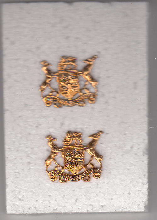 SERGEANT MAJOR CLASS  2 ALL PINS