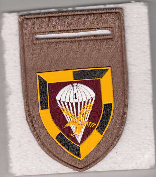 1 PARA BATTALION SHOULDER FLASH 1 PIN