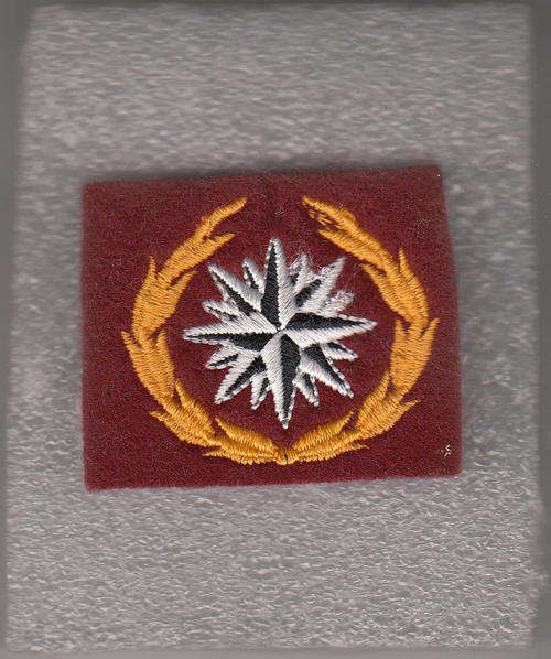 SPECIAL F0RCES /RECCE BERET BADGE 3 rd pattern