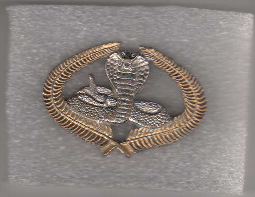 EXECUTIVE OUTCOME  BADGE 2 PINS