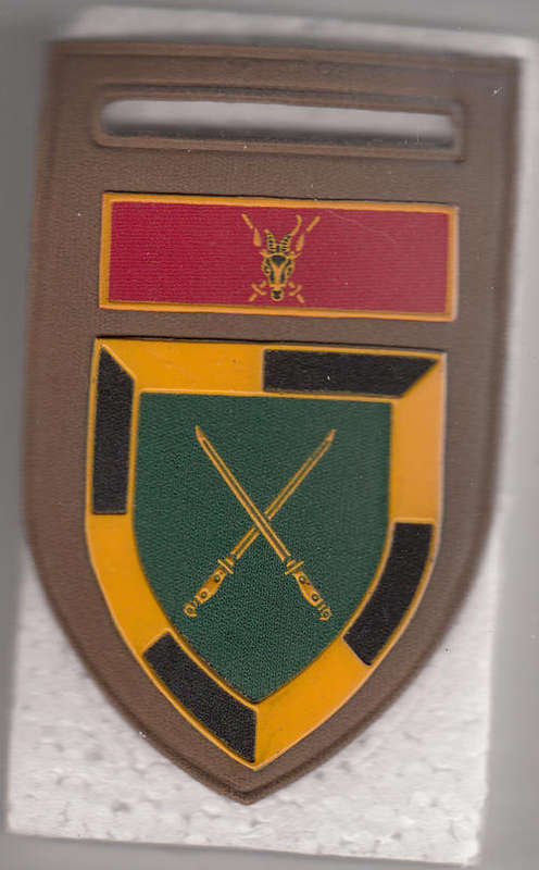 SA INFANTRY  SCHOOL  SHOULDER FLASH 1  PINS