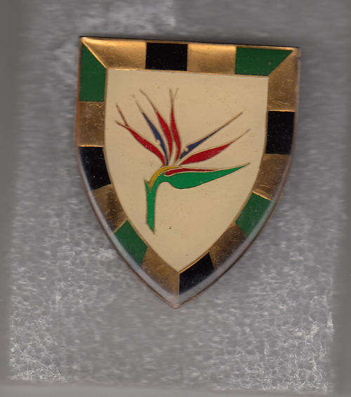 6 SA INFANTRY SHOULDER FLASH  all pins original