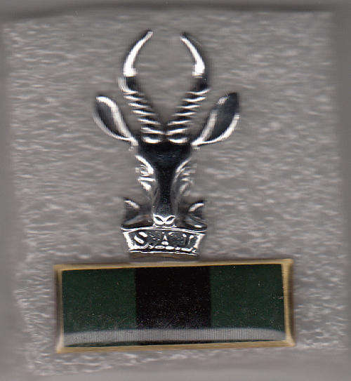 INFANTRY CAP BADGE AND COLLAR BADGES  ALL PINS