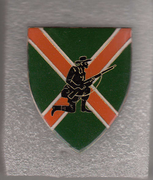 DANIE THERON COMBAT SCHOOL SHOULDER FLASH 3 PINS