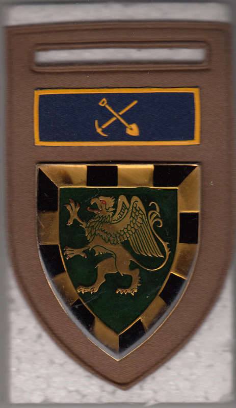 3 SA INFANTRY SHOULDER FLASH