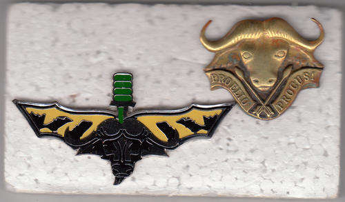32 BATTALION PARA WINGS AND CAP BADGE ALL PINS