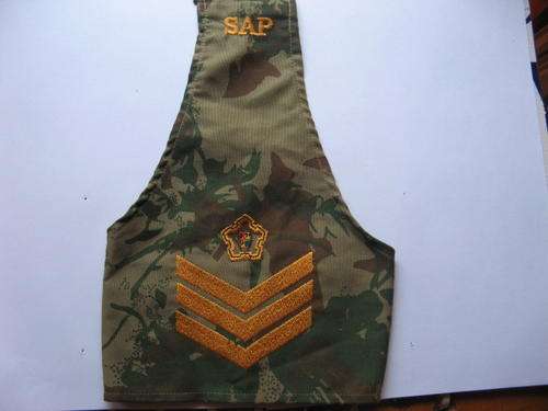 RANK BADGES FIELD DRESS wo1 old sap