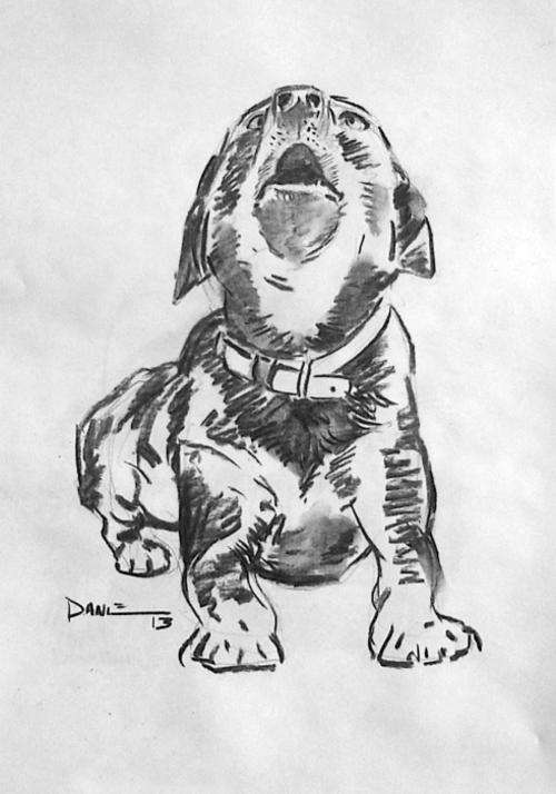 Crybaby, original charcoal drawing by Danie Cronje, unframed