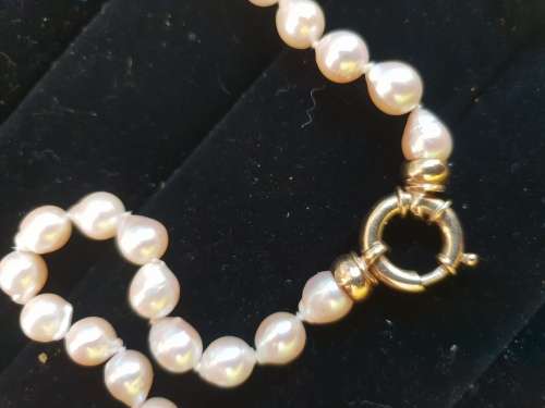 Beautiful-Individually knotted cultured drop pearls with 9ct gold large bolt ring clasp