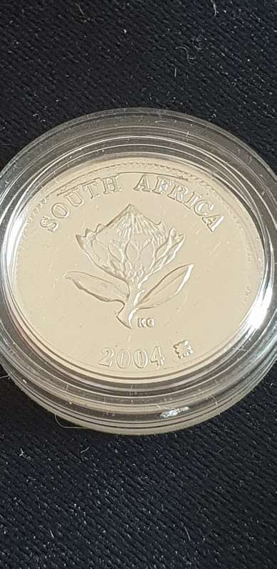 South African 2004  21/2 cents owl proof coin