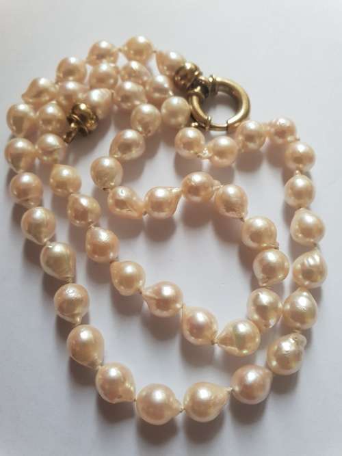Beautiful-Individually knotted cultured drop pearls with 9ct gold large bolt ring clasp