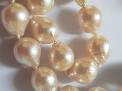 Beautiful-Individually knotted cultured drop pearls with 9ct gold large bolt ring clasp