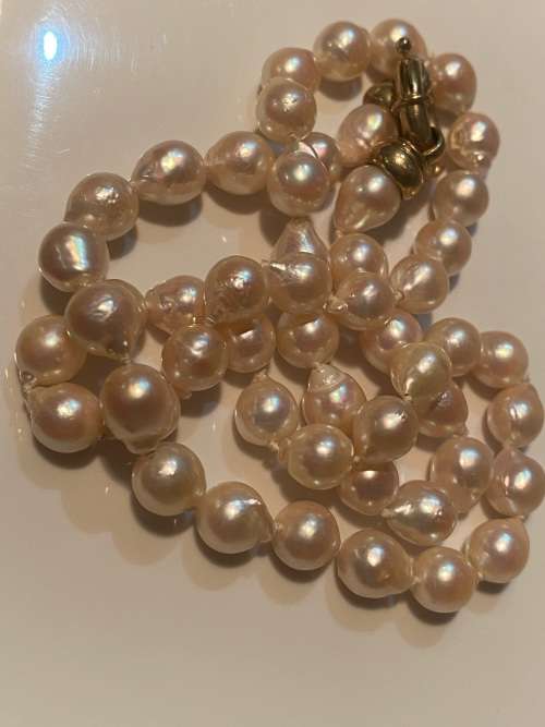 Beautiful-Individually knotted cultured drop pearls with 9ct gold large bolt ring clasp