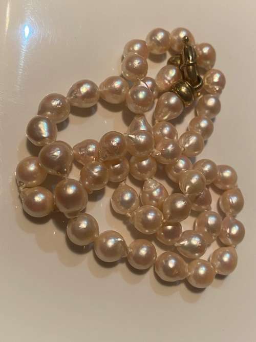 Beautiful-Individually knotted cultured drop pearls with 9ct gold large bolt ring clasp