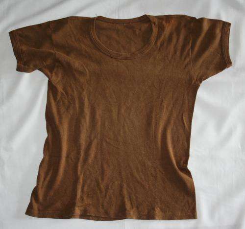 SADF -- NUTRIA BROWN T-SHIRT -- SIZE: MEDIUM -- BUSH WAR ERA