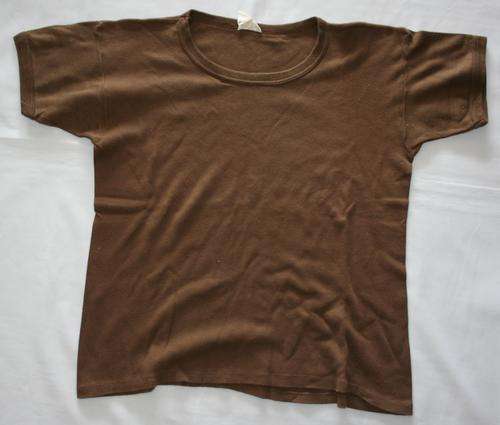 SADF -- NUTRIA BROWN T-SHIRT -- SIZE: LARGE -- BUSH WAR ERA
