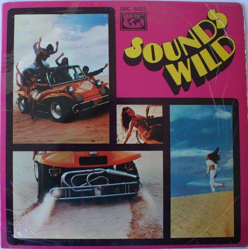 SOUNDS WILD VOL 1 -- VINYL LP RECORD