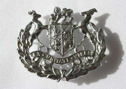 SADF -- WO 1 -- SERGEANT MAJOR --  CHROME , ARM BADGE