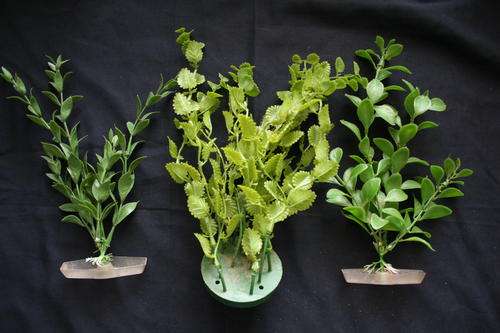 SET OF 3-- PLASTIC WATER PLANTS FOR FISH AQUARIUM