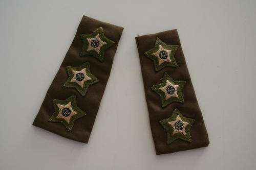 SADF -- ARMY CAPTAIN EMBROIDERED RANK PAIR EPAULETTES-- BUSH WAR ERA