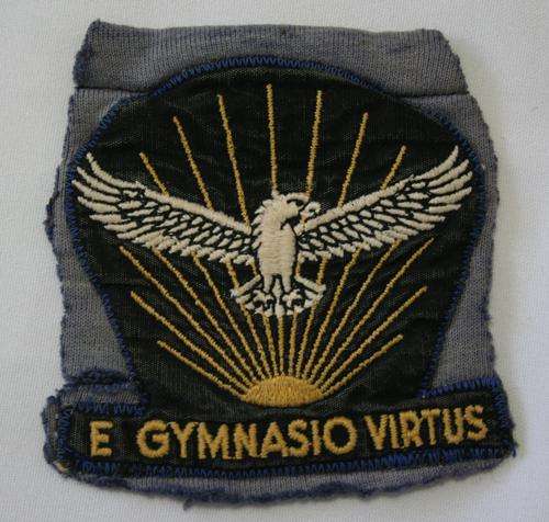 SADF-- SA AIRFORCE GYMNASIUM EMBROIDED BADGE