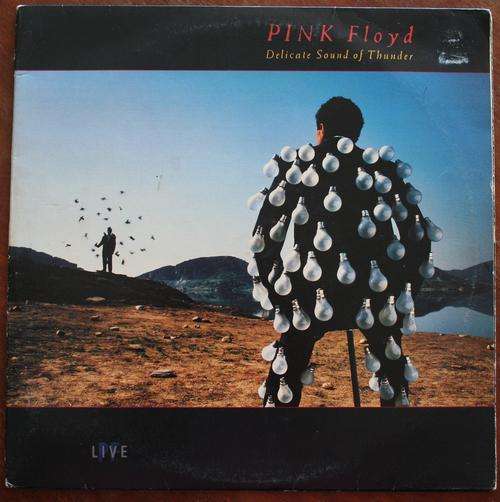 PINK FLOYD -- DELICATE SOUND OF THUNDER -- DOUBLE VINYL LP RECORD