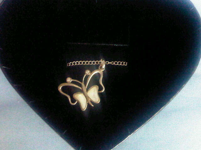 Stunning butterfly pendant and necklace in stunning heart box