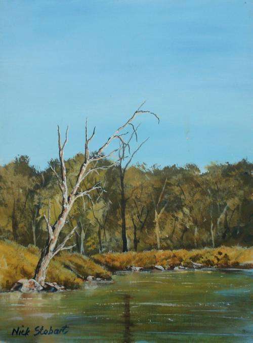 tree, river, landscape