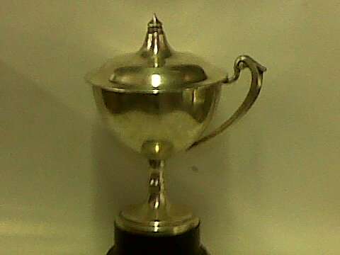 30cm tall silver plated trophy