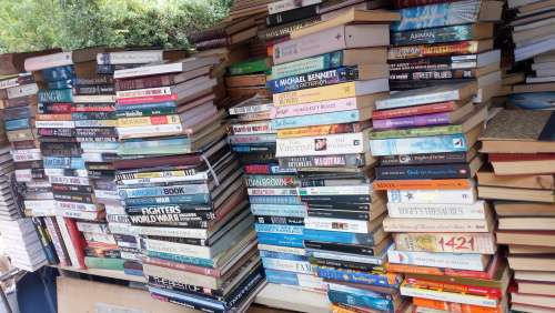 Books - Bulk Lot