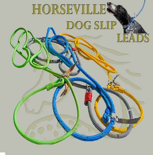 Dog slip leads bulk sale