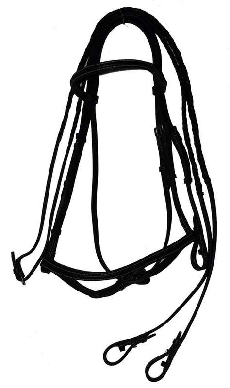 Horse Bridle - full