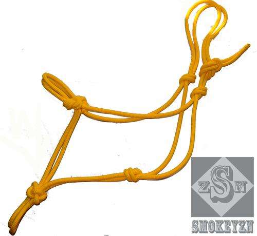 Horse yellow halter