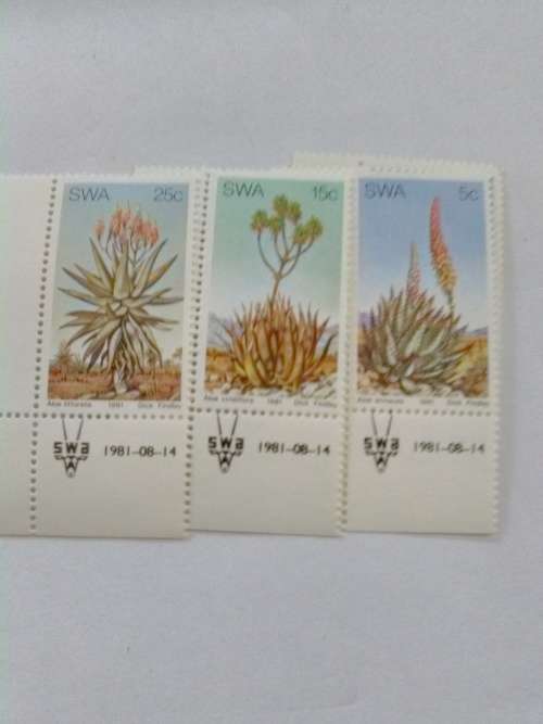 SWA - Aloes - 1 x 3