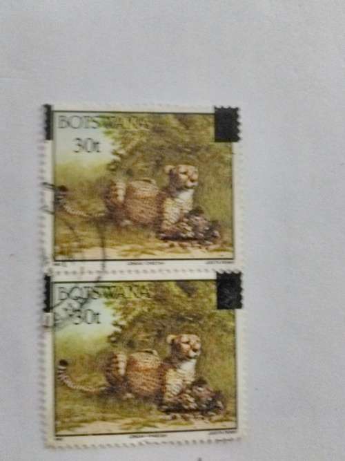 Botswana - 1 x 2 Cheetah