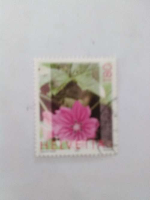 Helvetia - Malva - 180