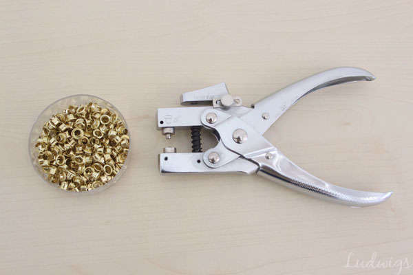Eyelet Punch with 100 eyelets