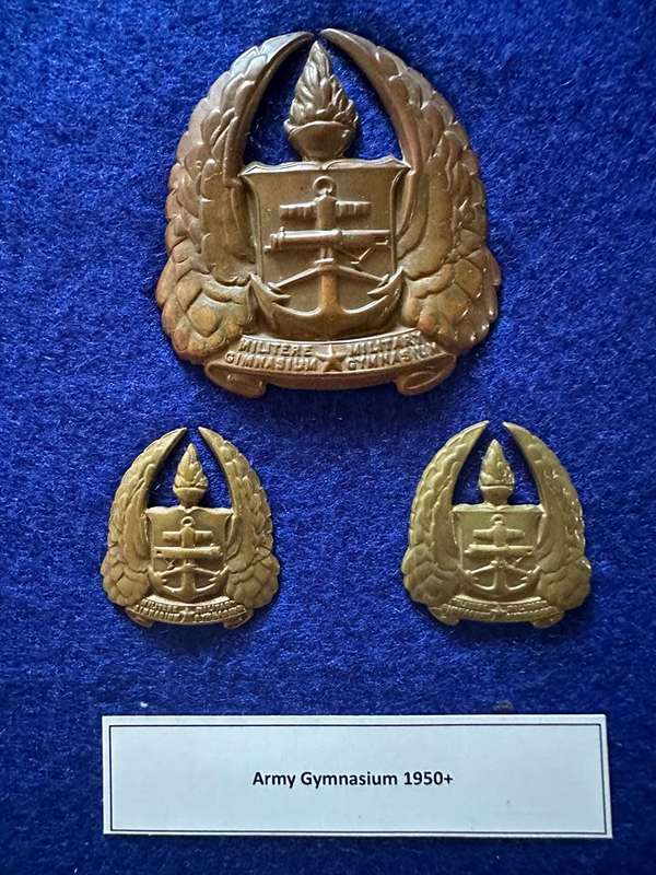 SA Army Gymnasium 1950+, Cap Badge and Set of Collar Badges
