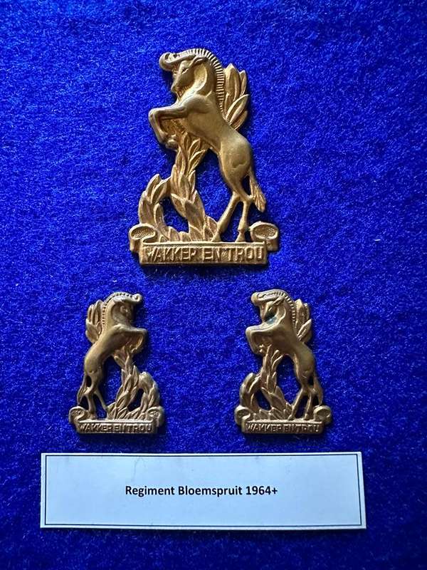 Regiment Bloemspruit 1964+, Cap Badge and Set of Collar Badges