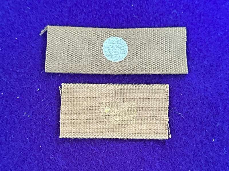 SADF Para Wings Imprinted on Nutria - Lot of Two