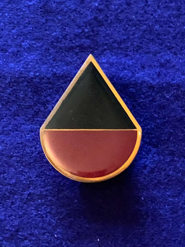 SADF 44 Parachute Brigade - Delta Company Arm Flash