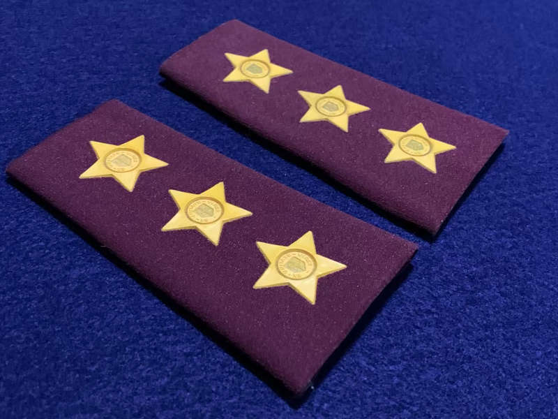 SA Medical Services (SAMS) Captain Tupper Ranks - 1 Pair