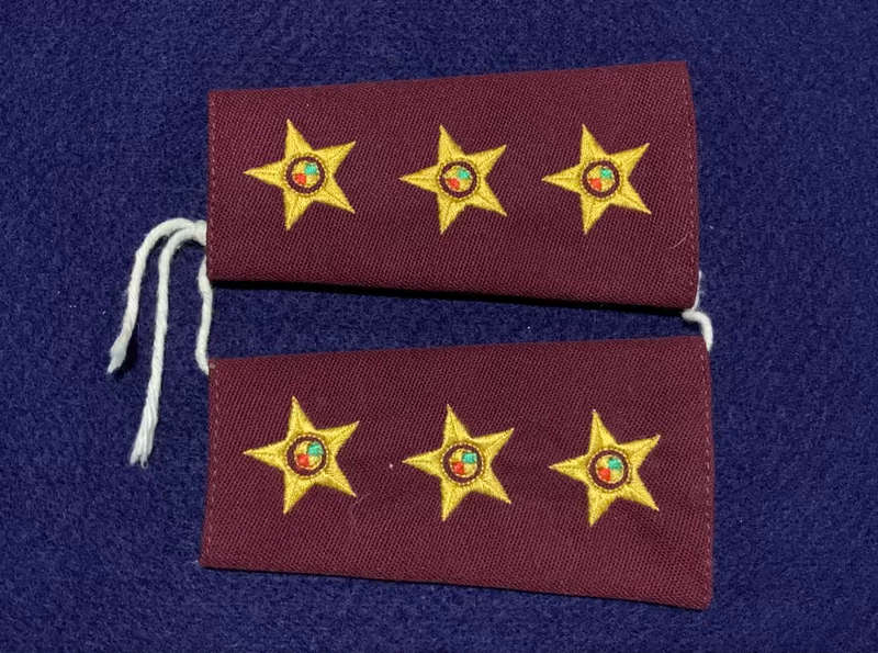 SA Medical Services (SAMS) Captain Embroidered Ranks - 1 Pair