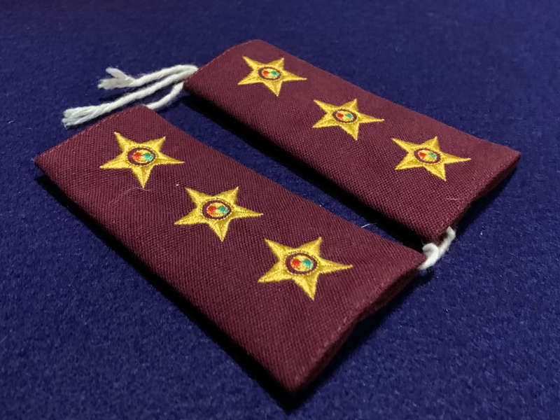 SA Medical Services (SAMS) Captain Embroidered Ranks - 1 Pair
