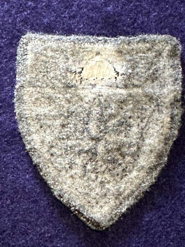 4 Reconnaissance Regiment embroidered Tracksuit Badge - 50mm x 60mm