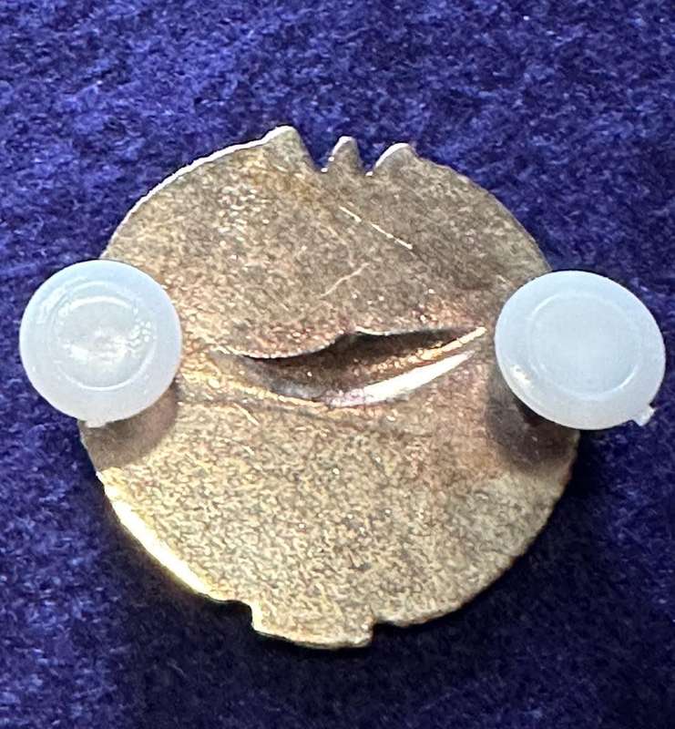 SA Army Special Forces - Attack Diver Bronze Proficiency Badge - Mess Dress