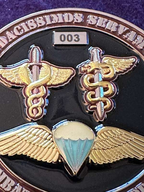 SA Army 7 Special Forces Medical Battalion Group Medallion - Para Qualified Freefall - No 003