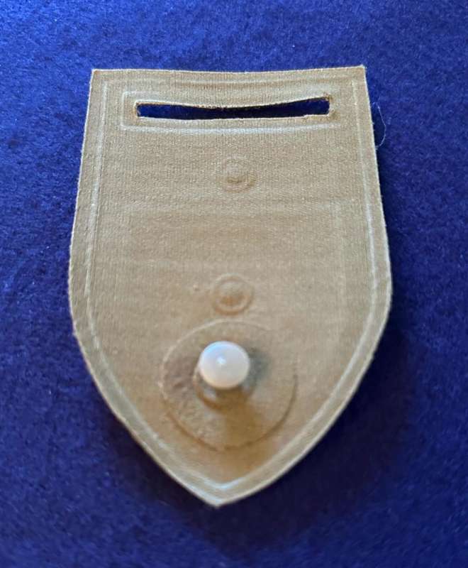 SADF Tupper Flash 44 Parachute Brigade HQ With Chief Of Army Command With Pin