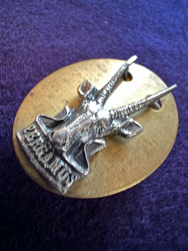 South West Africa Territorial Force (SWATF) Headquarters Beret Badge