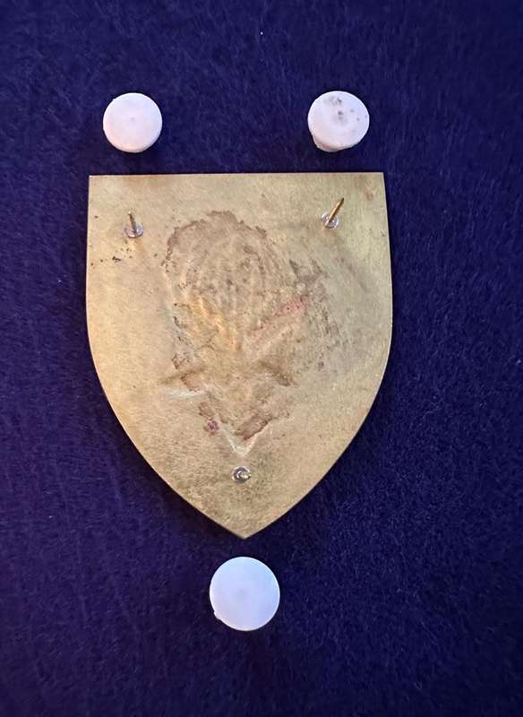 1 Parachute Battalion 1st Issue Metal Flash